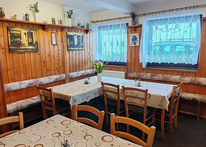 Panek Pensionat 2*